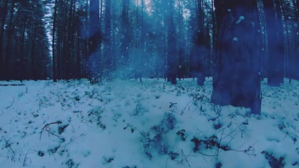 自食其果火球在冬林慢动作中的爆炸 — 图库视频影像