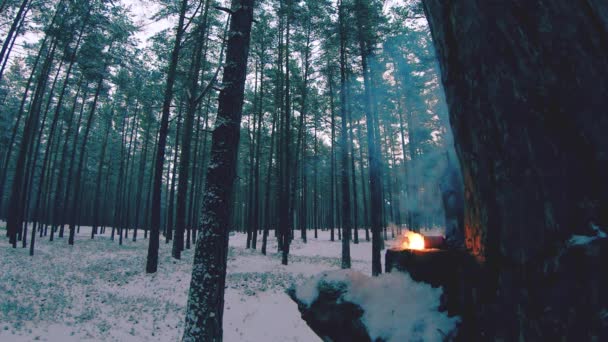 Взрыв Китайского Огненного Крекера Замедленной Съемке Огненным Шаром Зимнем Лесу — стоковое видео