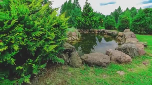 Летний Сад Красивыми Зелеными Растениями Деревьями — стоковое видео