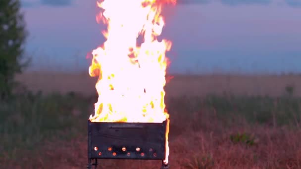 Hořící oheň uvnitř pánve nebo extrémní gril vaření — Stock video