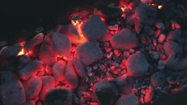 烧烤烤炉中的红热燃煤 — 图库视频影像