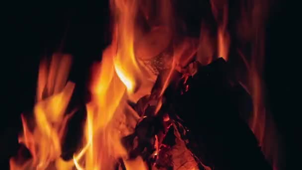 Płonące ognisko w nocy - zbliżenie — Wideo stockowe