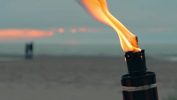 Bamboe fakkel branden op het strand — Stockvideo