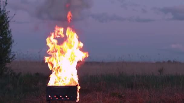 Égő tűz egy brazil vagy extrém grill főzés — Stock videók