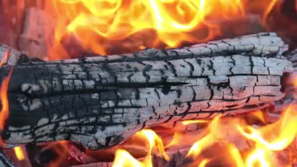 Queimando madeira na chama quente vermelha — Vídeo de Stock