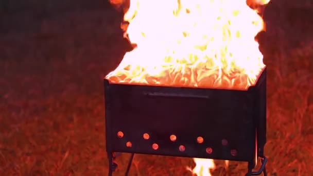 Płonący ogień wewnątrz Brazier lub Extreme Grill Gotowanie — Wideo stockowe