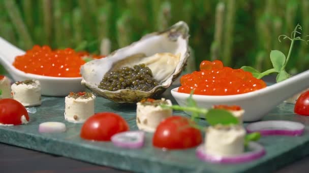 Fresh Caviar and Seafood Snack Still Life — Stock Video