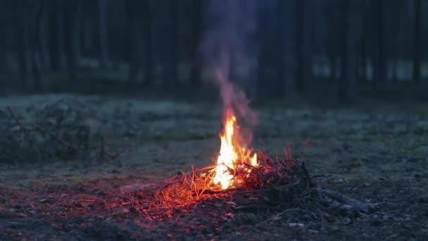 Brennendes Lagerfeuer am Abend - Nahaufnahme — Stockvideo