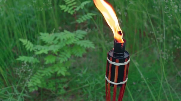 Ölbrennstoff Bambusfackel brennt im Wald — Stockvideo