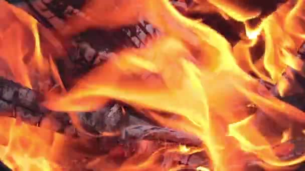 Hořící dřevo v červeném horkém plameni — Stock video