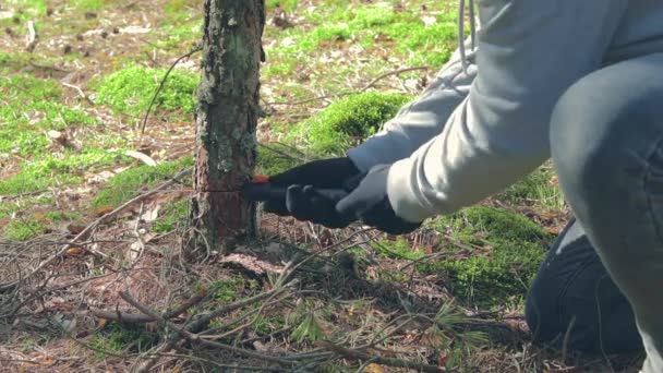 El turista es aserrar madera en el bosque para la fogata — Vídeos de Stock