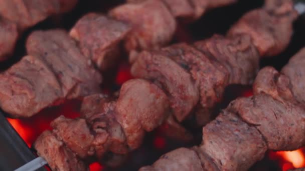 Homem cozinhando churrasco Grelha Carne ao ar livre — Vídeo de Stock