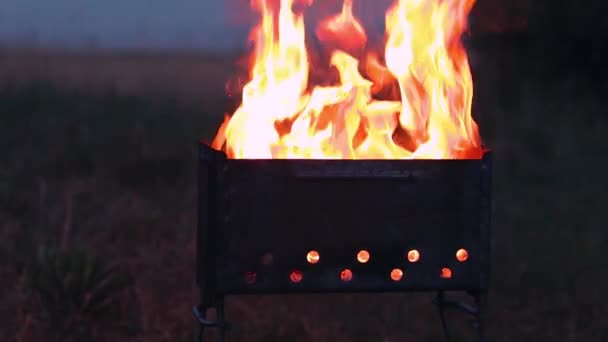 Brennendes Feuer in einem brasilianischen oder extremen Grill Kochen — Stockvideo