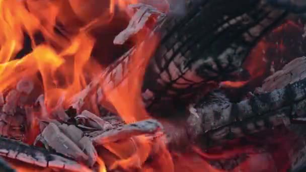 Hořící dřevo v červeném horkém plameni — Stock video