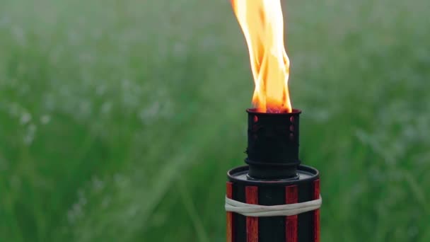 Olie Brandstof Bamboe Toorts Verbranden in het bos — Stockvideo