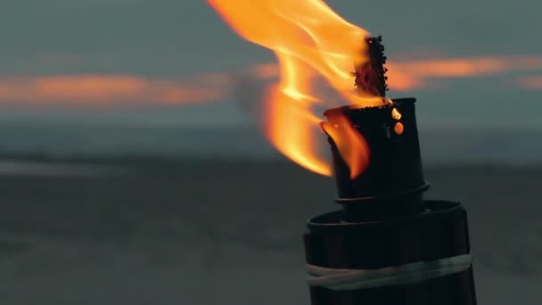 Torche en bambou brûlant à la plage — Video