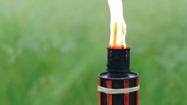 Ormanda Yağ Yakıtlı Bambu Meşalesi Yanıyor