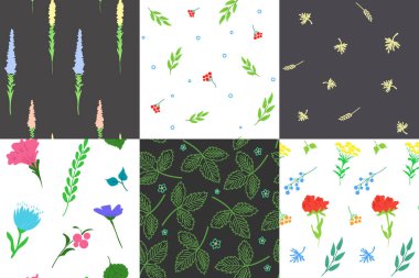 Şık Dikişsiz desen seti. Bitki ve çiçek. Tasarım türleri için kullanılan arka plan. Vektör çizim