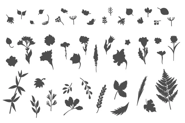 Gran Colección Flores Plantas Utiliza Para Varios Tipos Diseño Ilustración — Archivo Imágenes Vectoriales