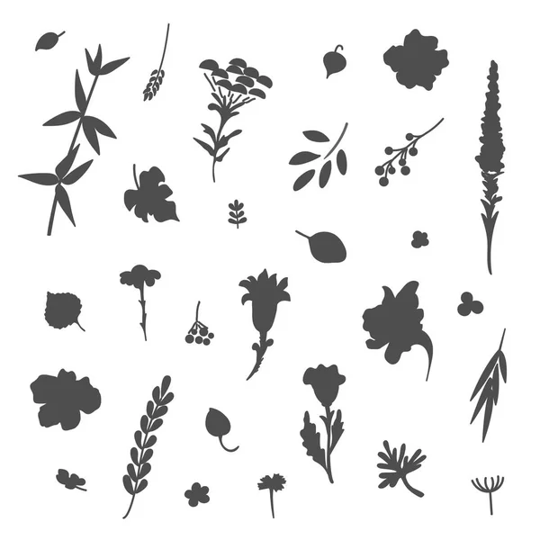 Çiçek Bitki Topluluğu Tasarım Çeşitli Türleri Için Kullanılır Vektör Çizim — Stok Vektör