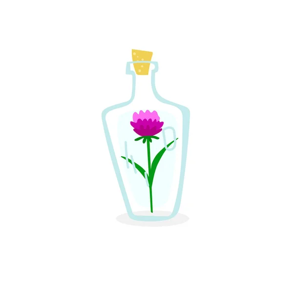 Schöne Leere Flaschen Mit Blumen Inneren Schönes Und Sanftes Bild — Stockvektor