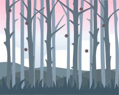 Kenarına orman ve güzel gökyüzü içinde belgili tanımlık geçmiş. Çam kozalakları çim düşmek.