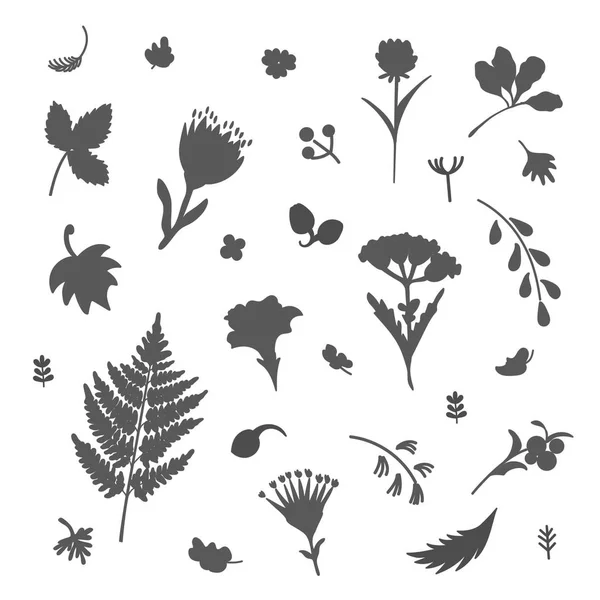 花卉和植物的收藏 用于各种类型的设计 向量例证 — 图库矢量图片