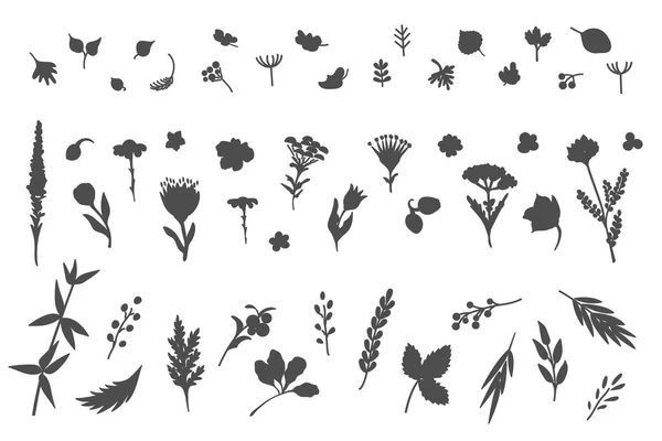 Gran Colección Flores Plantas Utiliza Para Varios Tipos Diseño Ilustración — Archivo Imágenes Vectoriales