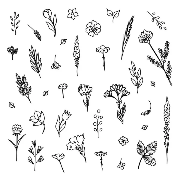 Collection Fleurs Plantes Utilisé Pour Différents Types Conception Style Linéaire — Image vectorielle