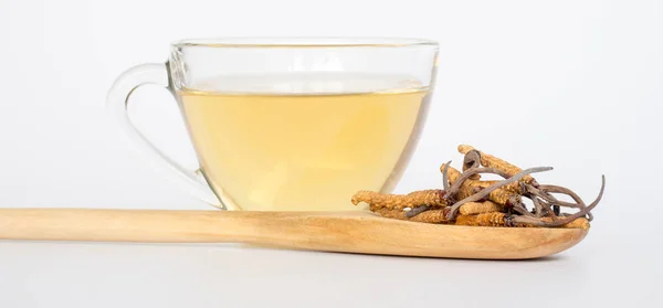 Tırtıl sinensis veya mantar cordyceps bu grubu bir otlar tahta kaşık cordyceps su önünde yerleştirilir. izole arka plan üzerinde. Ulusal Organik tıp.