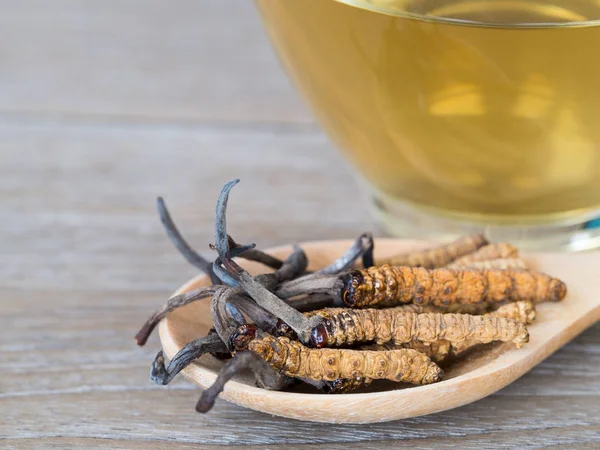 Tırtıl sinensis veya mantar cordyceps bu grubu bir otlar tahta kaşık cordyceps su önünde yerleştirilir. izole arka plan üzerinde. Ulusal Organik tıp.