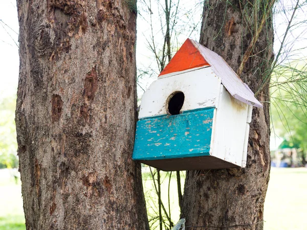 カラフルな鳥住宅公園で木にぶら下がっている 鳥の家は様々 Points Birdhouse 同士を引き付けるために建てられた多くの色鮮やかな鳥の家に置かれました — ストック写真