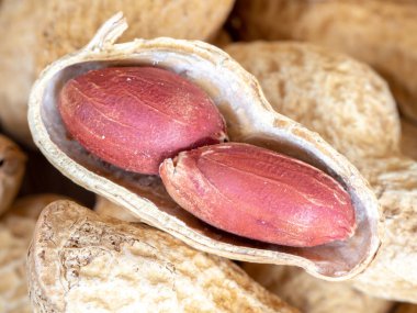 Closeup fıstık fıstık arka plan üzerinde ahşap masa üzerinde kabuklarında kurumuş. Aperatif kavramı