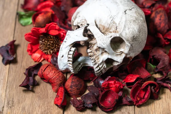 Front Human Skull Placed Red Dried Flowers Wooden Background Concept — Stock Photo, Image