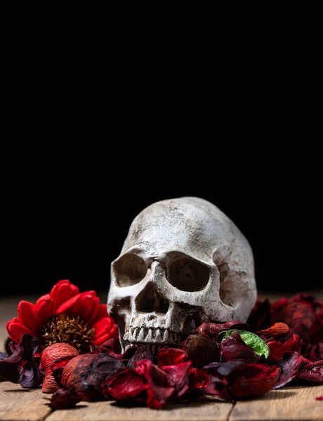 Μπροστά Από Ανθρώπινο Κρανίο Που Τοποθετείται Κόκκινα Αποξηραμένα Λουλούδια Για — Φωτογραφία Αρχείου