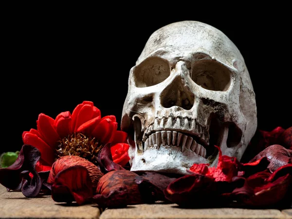 Frente Crânio Humano Colocado Flores Vermelhas Secas Fundo Madeira Conceito — Fotografia de Stock