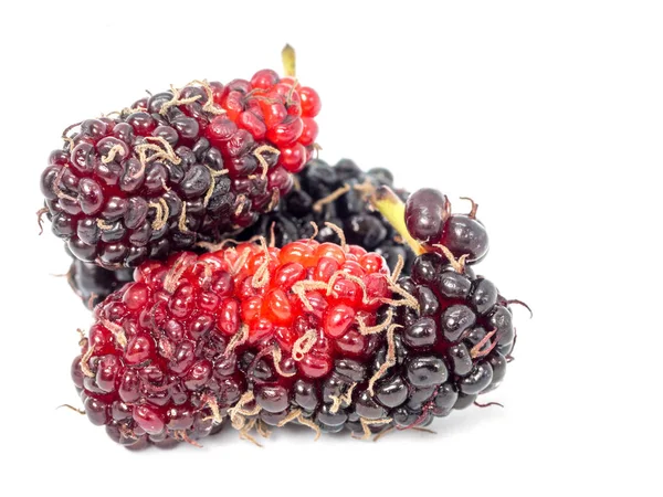 Groep Moerbeien Geïsoleerd Een Witte Achtergrond Mulberry Deze Een Vrucht — Stockfoto