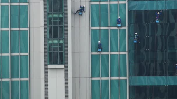 Werknemers Hangen Van Touw Voor Het Reinigen Van Vensterglas Buitenkant — Stockvideo