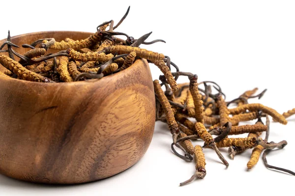 Cordycep yakın sinensis (Chong Cao) veya tahta üzerinde mantar cordyceps kase izole arka plan üzerinde. Hastalıkların tedavisinde tıbbi özellikleri. Ulusal Organik tıp.