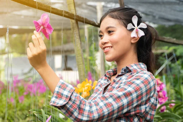 A woman gardener wearing a plaid shirt wearing a holding And was smiling happily. In the orchid garden