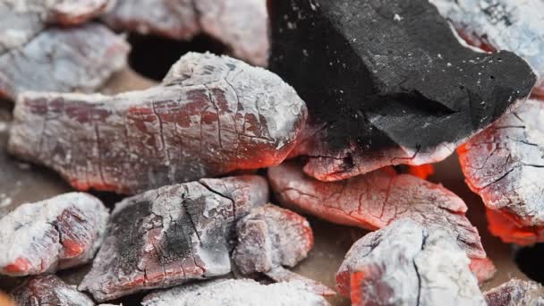 Близько гарячого вугілля і дров, що горять на грилі. Є полум'я і тепло. . — стокове відео