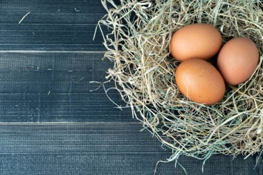 Siyah ahşap arka plan üzerinde saman yuvataze kahverengi tavuk yumurtası. Organik yumurta kavramı, metin veya diğer öğeler için boş alan