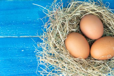 Mavi ahşap arka plan üzerinde saman yuvataze kahverengi tavuk yumurtası kapatın. Organik yumurta kavramı, metin veya diğer öğeler için boş alan