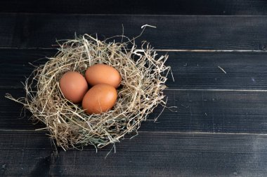Siyah ahşap arka plan üzerinde saman yuvataze kahverengi tavuk yumurtası. Organik yumurta kavramı, metin veya diğer öğeler için boş alan