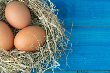 Mavi ahşap arka plan üzerinde saman yuvataze kahverengi tavuk yumurtası kapatın. Organik yumurta kavramı, metin veya diğer öğeler için boş alan