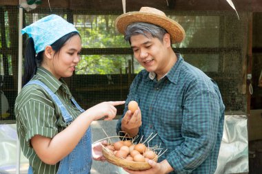 Çiftler tavuk yumurtası çiftliğinde çalışıyorlar. Ve taze yumurta seçiyor hem mutlu ve sağlıklı görünüyorsun.
