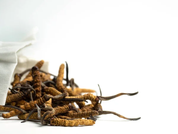 Primer Plano Ophiocordyceps Sinensis Cordyceps Setas Bolsa Tela Blanca Sobre — Foto de Stock