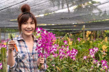 Bahçıvan orkide bahçeyi ayarladı. Dalları kesmek için makas tutma ve orkide çiçeği