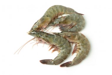 grubu taze çiğ Pasifik beyaz karides beyaz arka plan üzerinde kapatın.