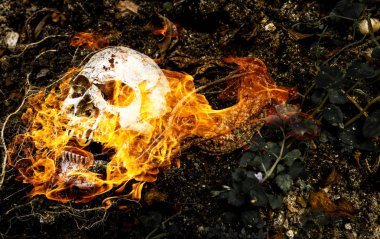 İnsan kafatası kökleri toprakla gömülü önünde